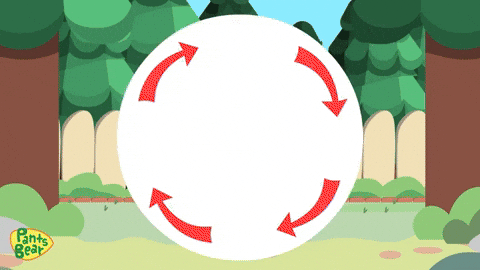 Butterfly Metamorphosis GIF