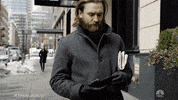 Nbc Picture GIF by The Blacklist
