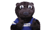 Bvu Sticker by Buena Vista University