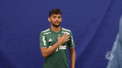gustavo scarpa goal GIF by SE Palmeiras