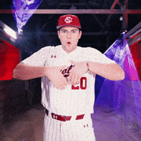 Home Run Celebration GIF by Gamecock Athletics