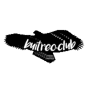 Sticker by BuitreoClub