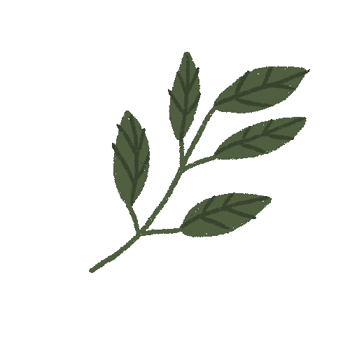 Plant Sticker by jajonc