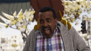 tim meadows birds GIF by Son of Zorn