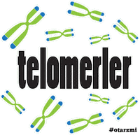 Otm Sticker by Can Bonomo