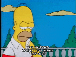 Season 1 GIF by The Simpsons