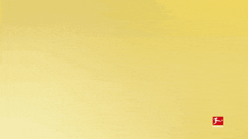 Borussia Dortmund Football GIF by Bundesliga