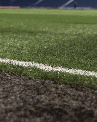 The Hawthorns Wba GIF by West Bromwich Albion