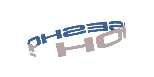 Horse Shoe Sticker by Tate McRae