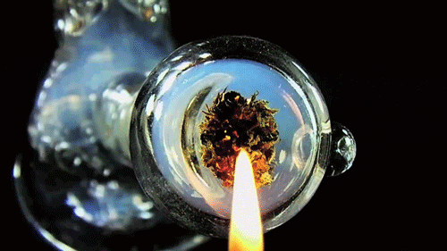 stoners GIF