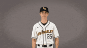 Baseball Calstatela GIF by Cal State LA Golden Eagles
