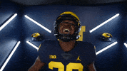 Go Blue College Football GIF by Michigan Athletics
