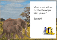 Elephant GIF