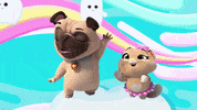 Kitten Brushing GIF by 44 Cats