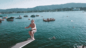 major lazer GIF by Diplo