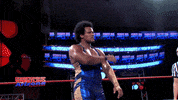 Finish Him The End GIF by United Wrestling Network