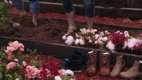 brendan penny countdown to valentine's day GIF by Hallmark Channel