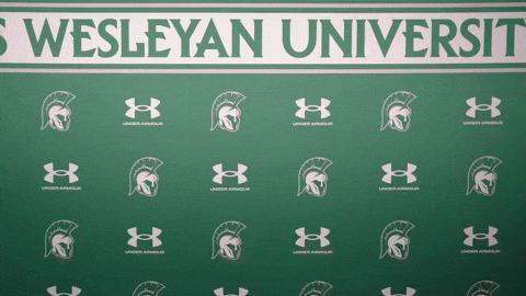 Iwuwvb24 GIF by iwusports