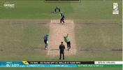 Melbourne Stars Celebration GIF by StarsBBL