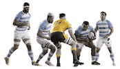 Argentina Rugby Sticker by icbc