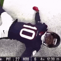 Lay Down Houston Texans GIF by Respective