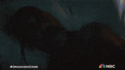 Nbc Peacock GIF by Law & Order