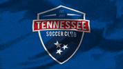 United Football GIF by USL