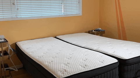 brucesturgell giphyupload GIF