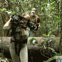 Africa Wildlife GIF by BBC America