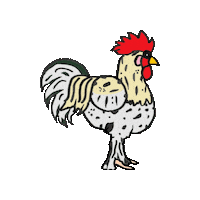 Rooster Gallo Sticker