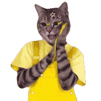 Cat Color Sticker by K-FORCE