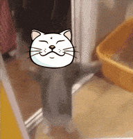 Happy Crypto GIF by ShiroNeko