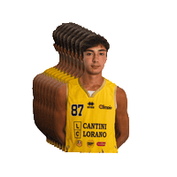 Basketball Pina Sticker by Olimpia Legnaia Basket Firenze