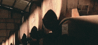 GIF by Willem's Wermoed