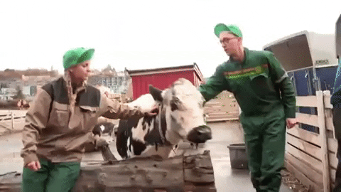 GIF by NRK P3