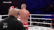 punch italy GIF by Bellator