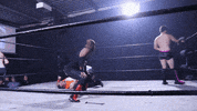 bollywood smile GIF by SHWA Wrestling