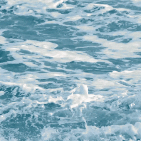 LifeCoachFrankfurt giphyupload ocean sea surf GIF