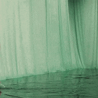 New York Fashion Week GIF by NYFW: The Shows