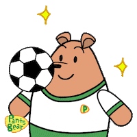 France Football Sticker