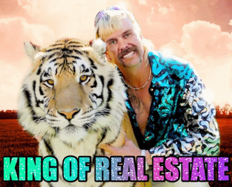 Real Estate King GIF by KimoQuance