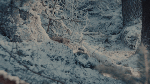 Scared Christmas GIF by Apple Music