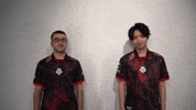 League Of Legends Lol GIF by G2 Esports
