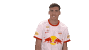 Well Done Rbs Sticker by FC Red Bull Salzburg