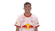 Fail What Happened Sticker by FC Red Bull Salzburg