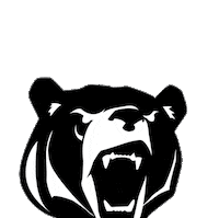 Lenoir Rhyne Hickory Sticker by Lenoir-Rhyne University