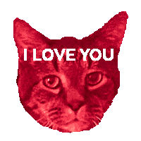 I Love You Cat Sticker