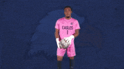 Goalkeeper Keeper GIF by Carson-Newman Athletics