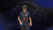 Cnms GIF by Carson-Newman Athletics