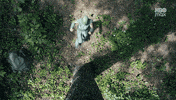 John Cena Peacemaker GIF by HBO Max